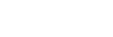 Vertubet logo